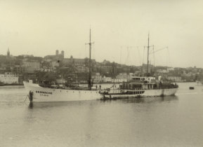 Navio à linha Sernache