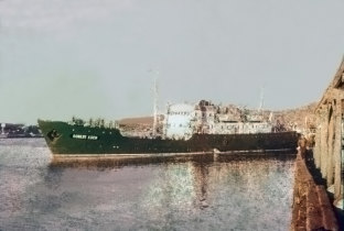 Navio motor Robert Koch