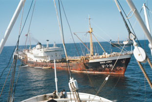 Navio Vasco d'Orey