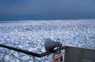 Gelo do Ártico