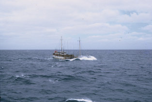 Navio bacalhoeiro nos mares da Terra Nova/Gronelândia