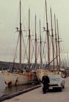 Bacalhoeiros no porto de St. Jonh's