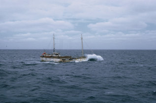 Navio bacalhoeiro nos mares da Terra Nova/Gronelândia