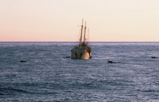 Bacalhoeiro em campanha de pesca
