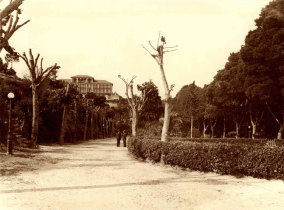 Jardim das Tílias em Santa Luzia