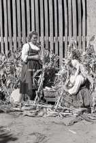 Encenação de Desfolhada