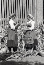 Encenação de Desfolhada