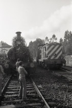 Passeio de Locomotiva a Vapor