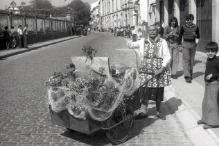 Celebração do 1º de Maio em 1975: Manifestante