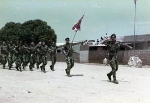 Desfile militar