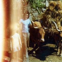 Francelina Rodrigues e Manuel Rodrigues