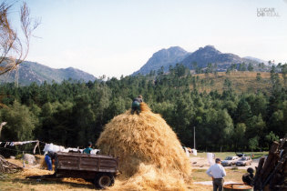 Meda de palha