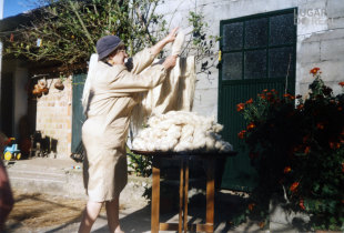 Separar a palha da fibra