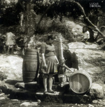 No caminho para a festa