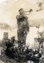 José Maria Domingues