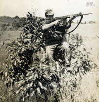 Simplício Pires
