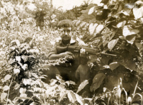 Simplício Pires