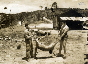 Companhia de Caçadores 1459