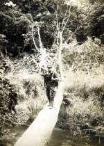 Simplício Pires