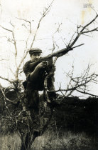 Simplício Pires
