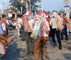 À vinda da Inspeção