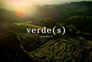 verde(s) - episódio 1