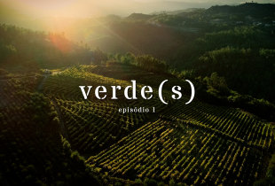 verde(s) - episódio 1